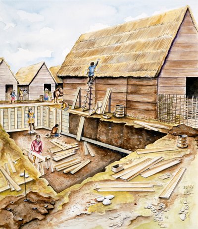 Viking Buildings by Chris Evans