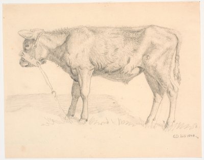 A Bull Calf by Christen Dalsgaard