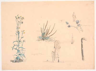 Plant Studies. A Bathhouse Bridge and a Ship by Christen Dalsgaard