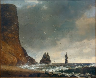 Rocky Coastal Landscape in Iceland by Christian Ezdorf