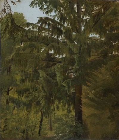 Fir Tree in Deciduous Forest by Christian Friedrich Gille