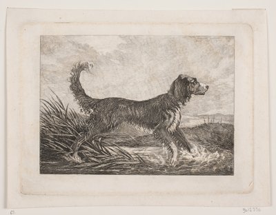 A Dog by Christian Holm