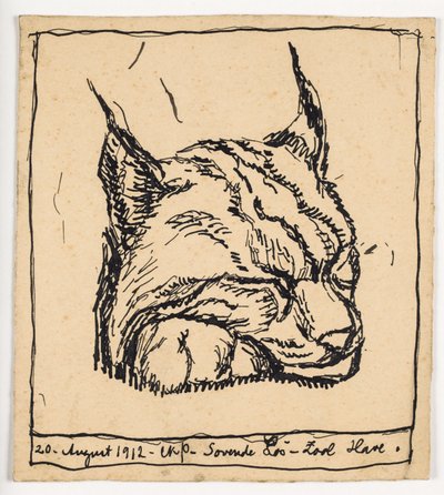 Sleeping Lynx by Christian Kongstad Petersen