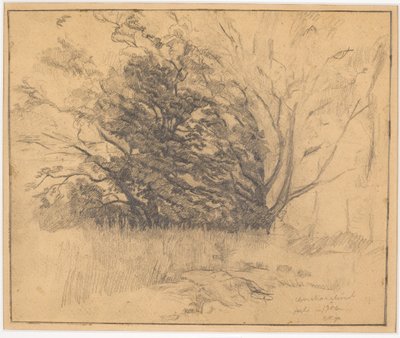 Group of Trees by Christian Kongstad Petersen