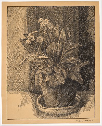 Flowerpot with Primula by Christian Kongstad Petersen