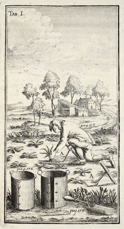 Gardener Harvesting, Published in Erfurt, 1753-55 by Christian Reicharts