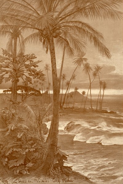 The beach at Waikiki, Hawaii, 1898 by Christian Wilhelm Allers