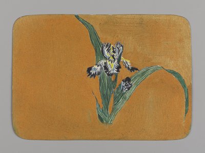 Iris by Christopher Grant La Farge