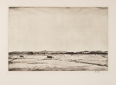 Sussex Downs by Christopher Richard Wynne Nevinson