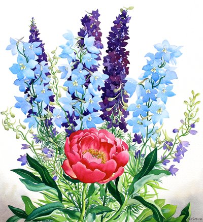 Blue Delphiniums by Christopher Ryland