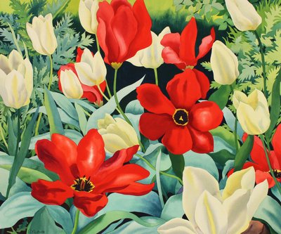 Early Tulips by Christopher Ryland