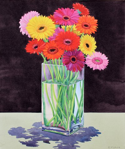 Gerberas by Christopher Ryland