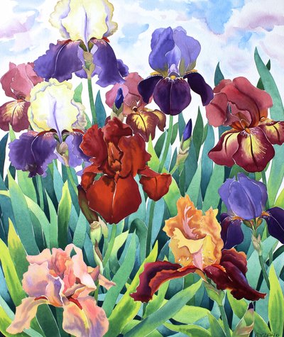 Glemsford Irises by Christopher Ryland