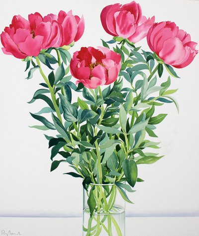 Peonies by Christopher Ryland