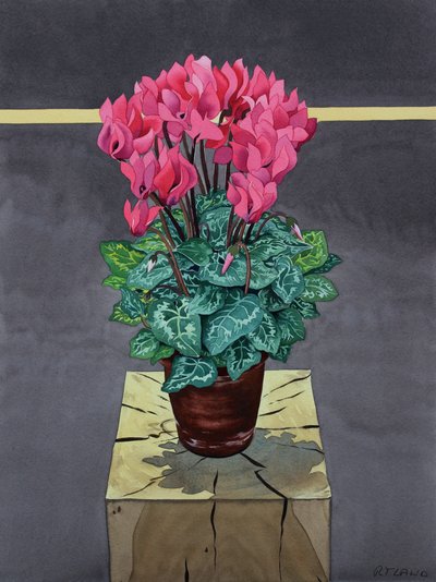 Still Life Cyclamen by Christopher Ryland