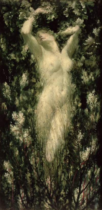 Blodeuwedd by Christopher Williams