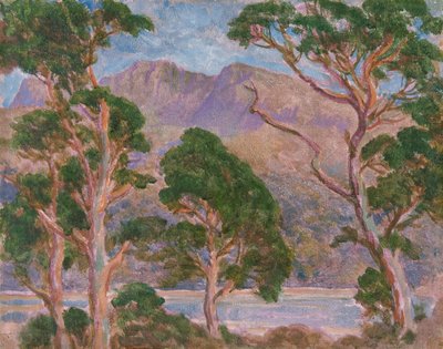 Cader Idris by Christopher Williams
