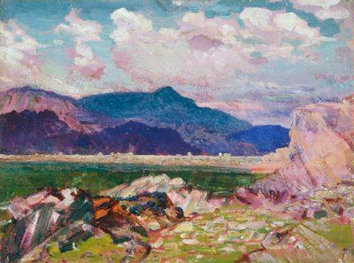 Dyffwys, North Wales by Christopher Williams