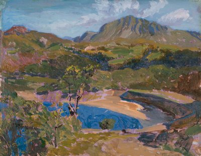 On the Barmouth Estuary by Christopher Williams