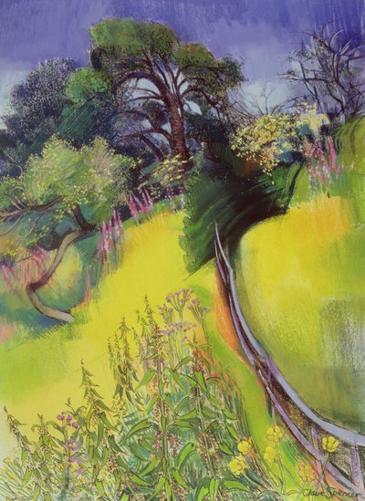 Midsummer by Claire Spencer