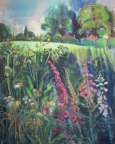 Summer Field by Claire Spencer