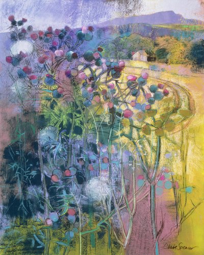 The Wild Beauty of Clee by Claire Spencer