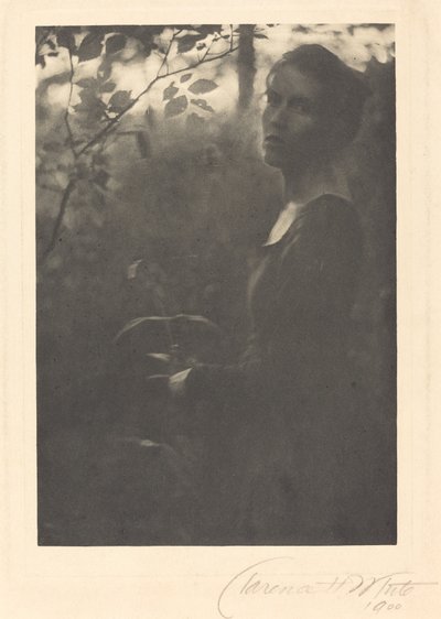 Edge of the Woods, Evening by Clarence H. White
