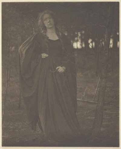 Untitled [woman in the woods], 1901-05 by Clarence H White