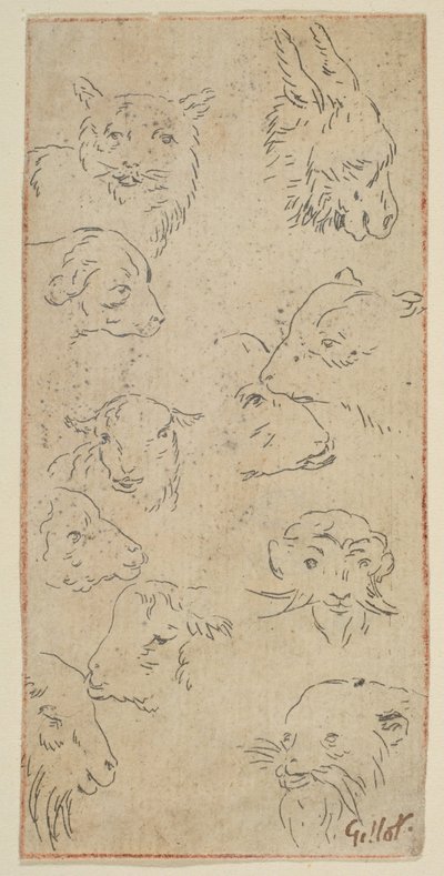 Study of Animal Heads, n.d. by Claude Gillot