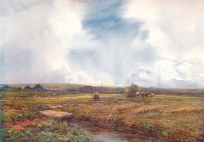 The Hayfield, 1872-1906 by Claude Hayes