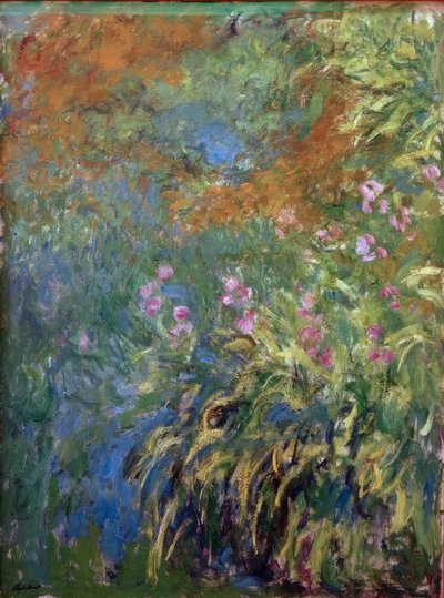 Iris by Claude Monet