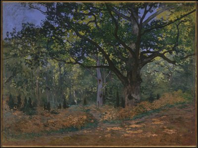 The Bodmer Oak, Fontainebleau Forest, 1865 by Claude Monet