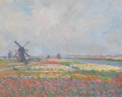 Tulip Fields Near The Hague by Claude Monet