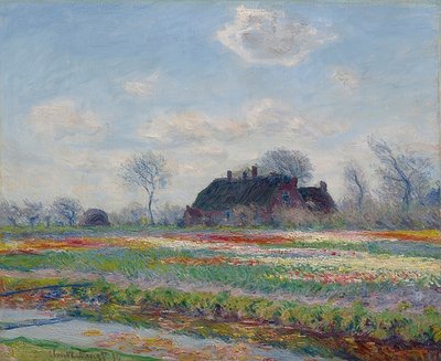 Tulip Fields in Sassenheim. 1886 by Claude Monet