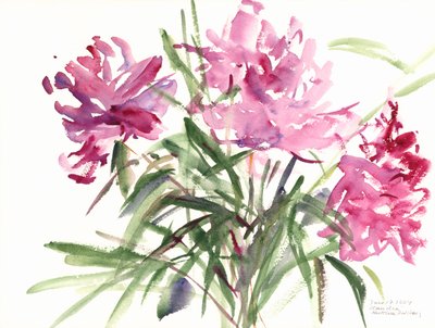 Peonies, 2004 by Claudia Hutchins Puechavy