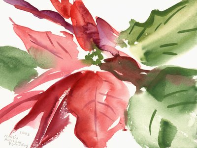 Poinsettia by Claudia Hutchins Puechavy