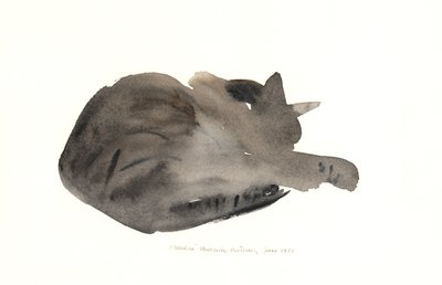 Sleeping cat, 1985 by Claudia Hutchins Puechavy