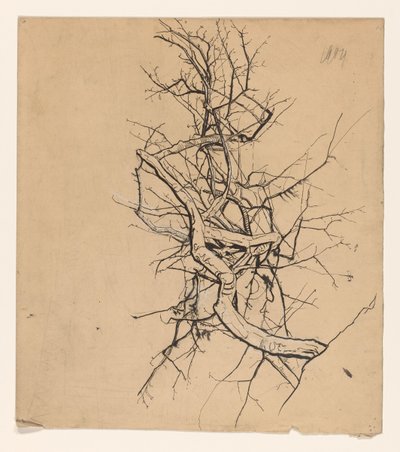 Tree Study by Coba Steenhoff