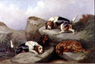 Otterhounds, 1889 by Colin Graeme