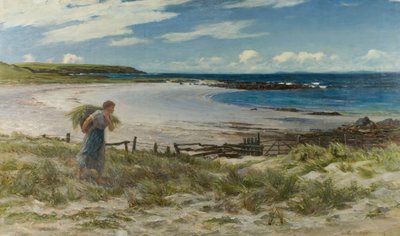 The Sands of White Hills by Colin Hunter