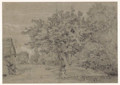 Old Tree by a Farmhouse by Constant Troyon
