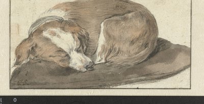 Sleeping Dog by Cornelis Saftleven