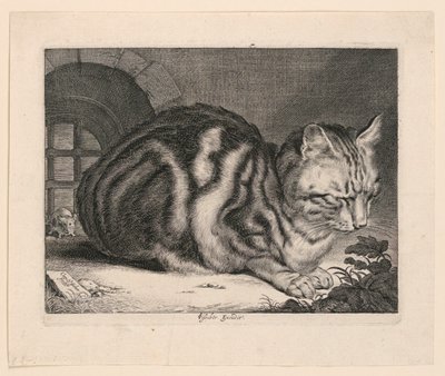 The Large Cat by Cornelis Visscher