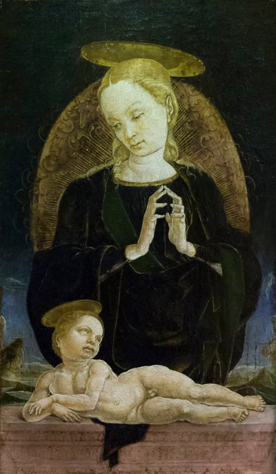 Madonna and Child by Cosimo Tura