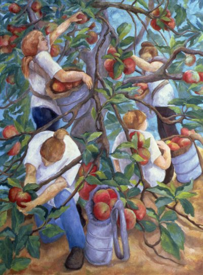 Apple Pickers by Cristiana Angelini