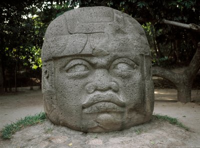 Colossal Head by Culture Olmec