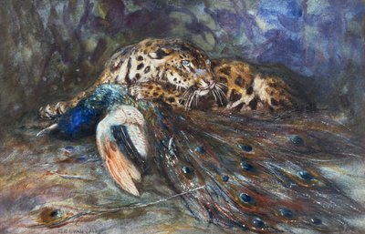 Jaguar with Peacock by Cuthbert Edmund Swan