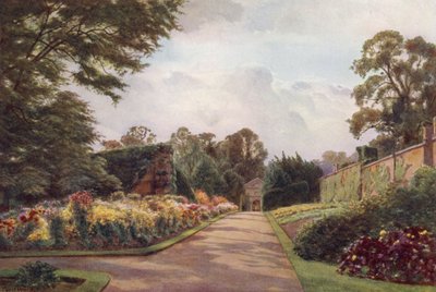 Early Chrysanthemums, Claremont by Cyril Ward