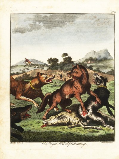 Old English Wolf Hunting. 1792 by Daniel (after) Dodd