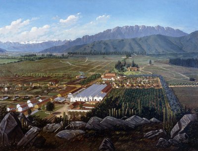 The Vineyard of Erranzuriz-Panquehue, Chile by Daniel Escobar